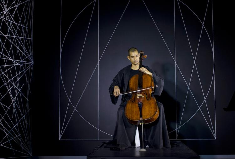 Zeigler cello