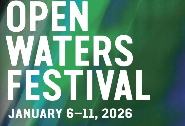 Open Waters Poster